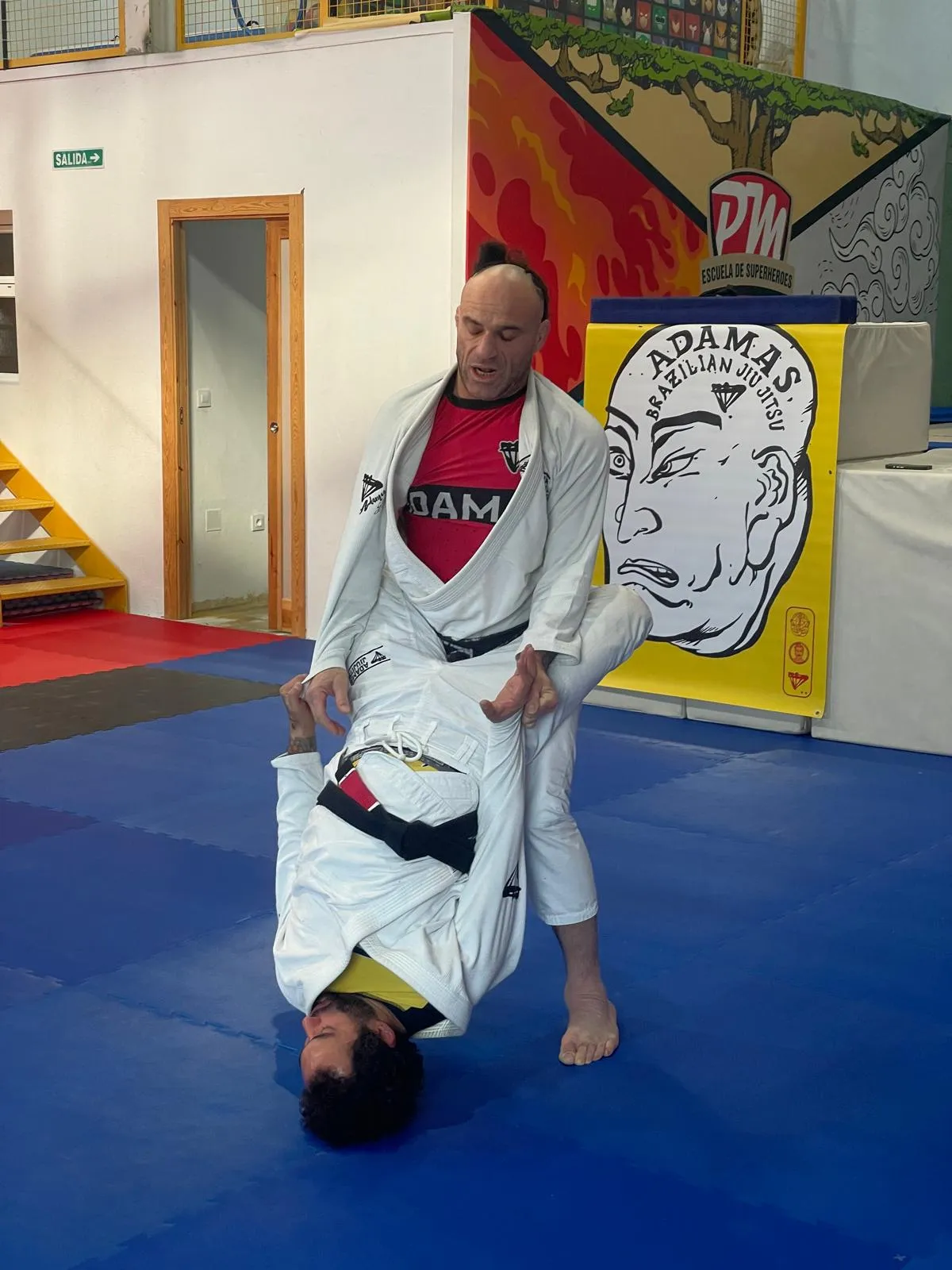 Jiu-Jitsu 3