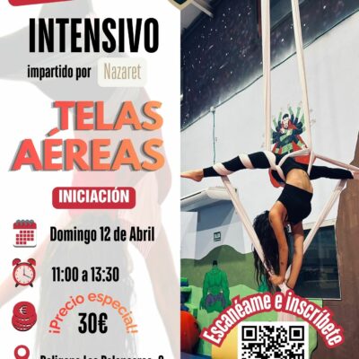 Taller telas aereas
